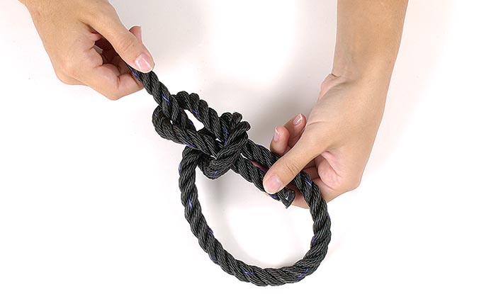 Bowline step 4