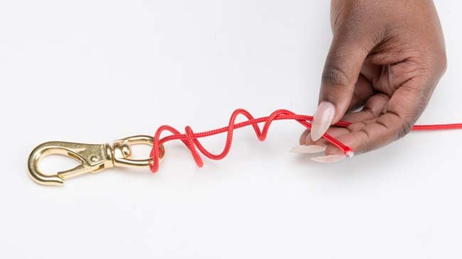 The Improved Clinch Knot 1