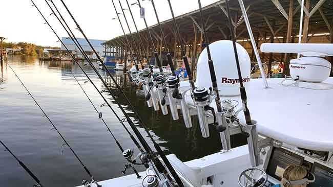 Multiple Fishing Rods