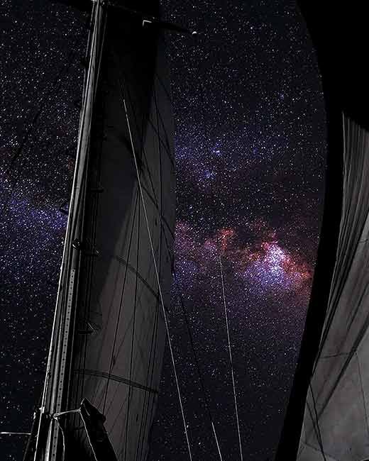 Artistic Winner, Night Gracie by Lauren M. Danforth