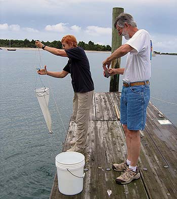 Phytoplankton monitoring