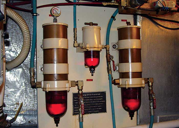 Dual primary fuel filters