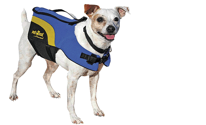 West Marine Neoprene Pet Vest